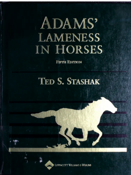 Stashak Adams Lameness in Horses