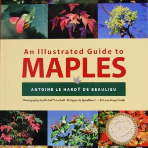 An Illustrated Guide to Maples