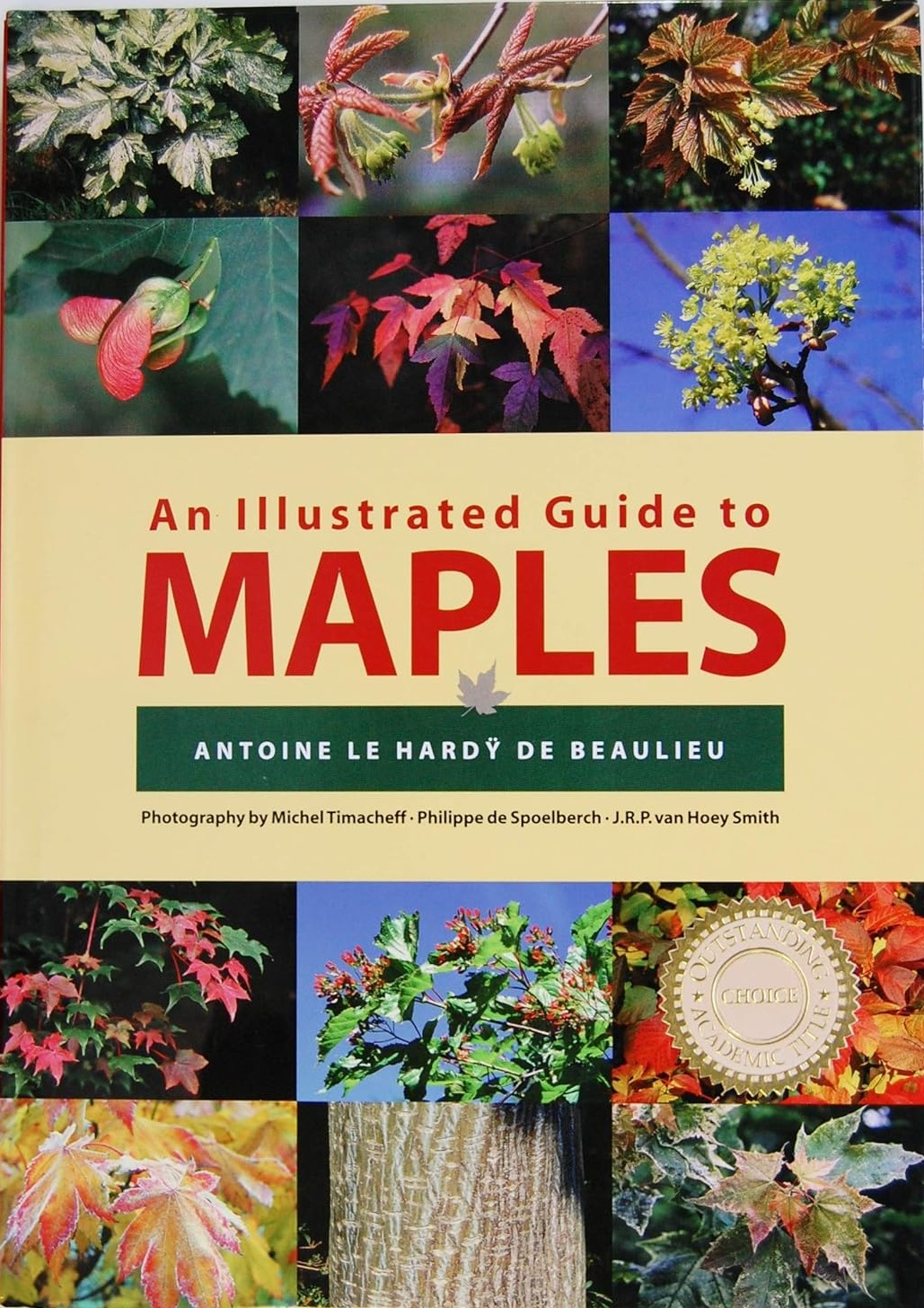 An Illustrated Guide to Maples