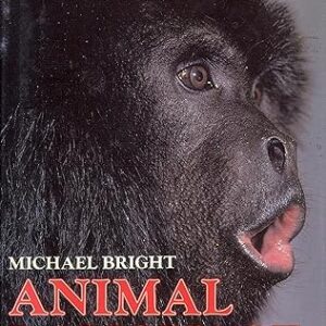 Animal Language
