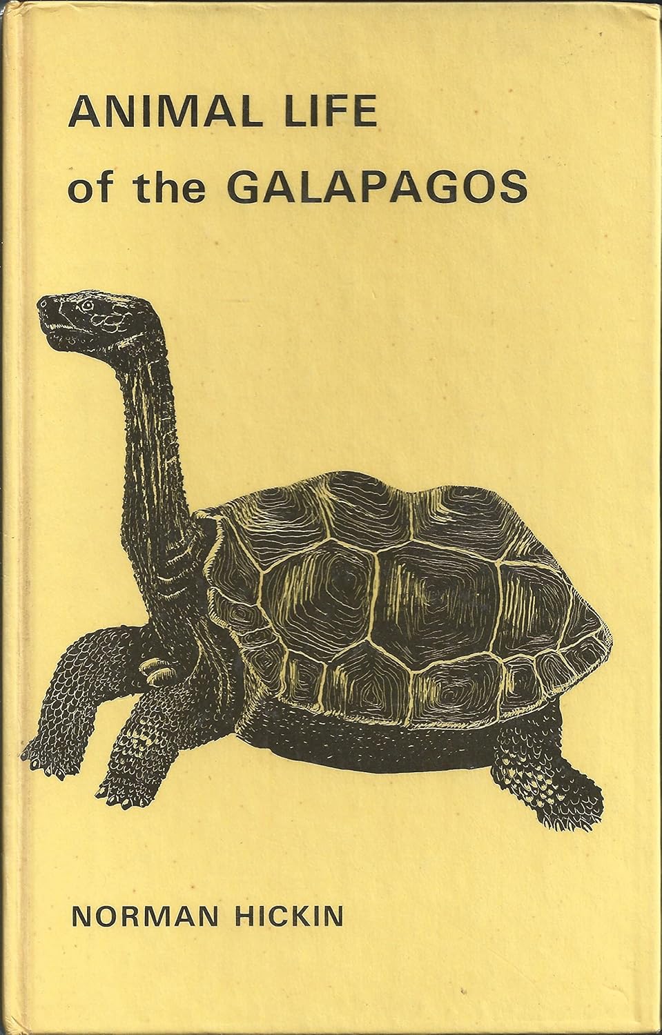 Animal Life of the Galapagos