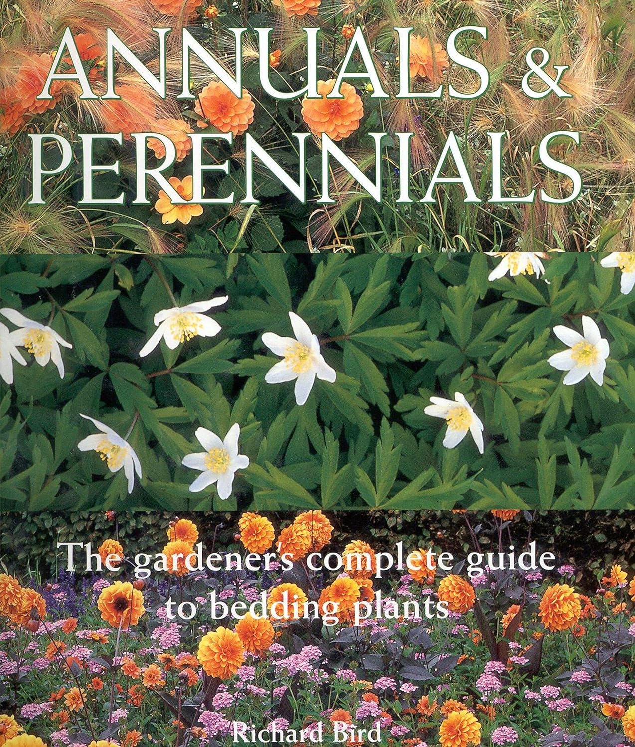 Annuals and Perennials