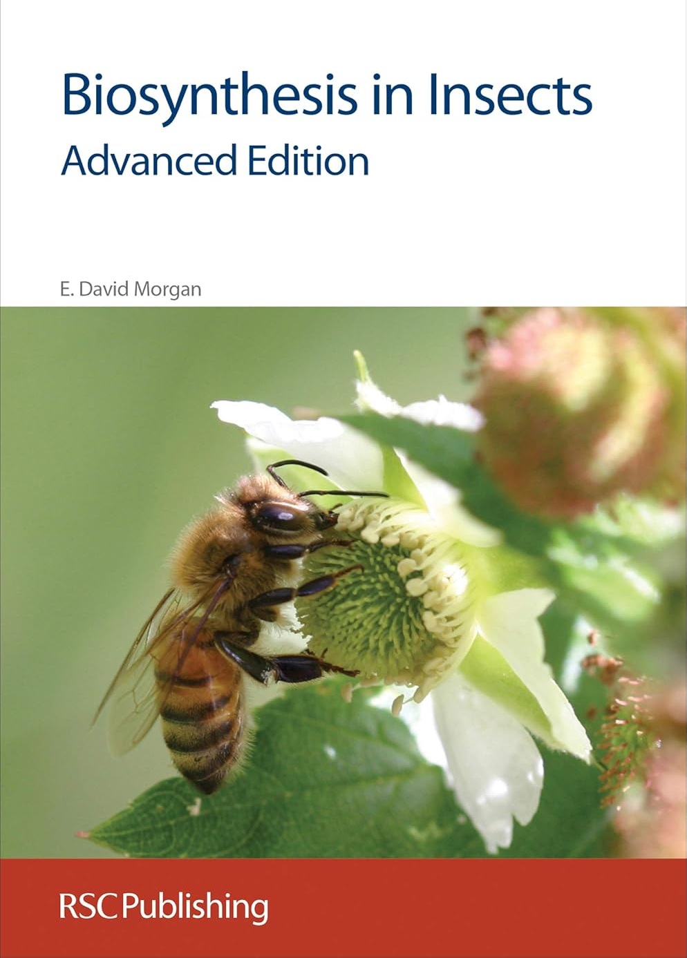 Biosynthesis In Insects