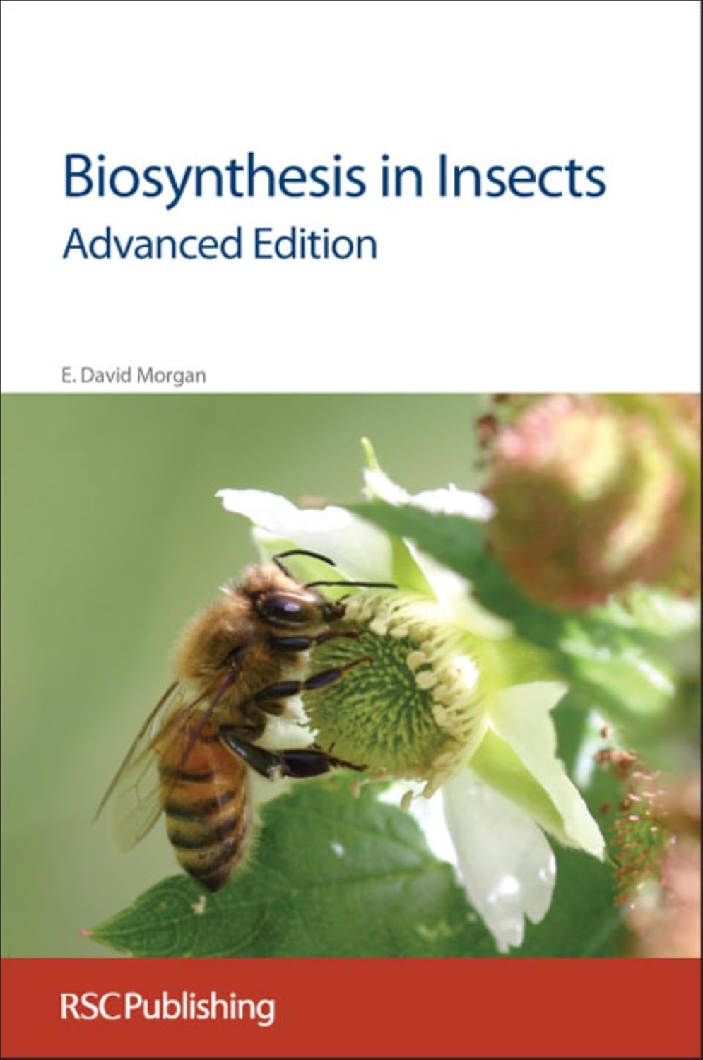 Biosynthesis in Insects Advanced Edition